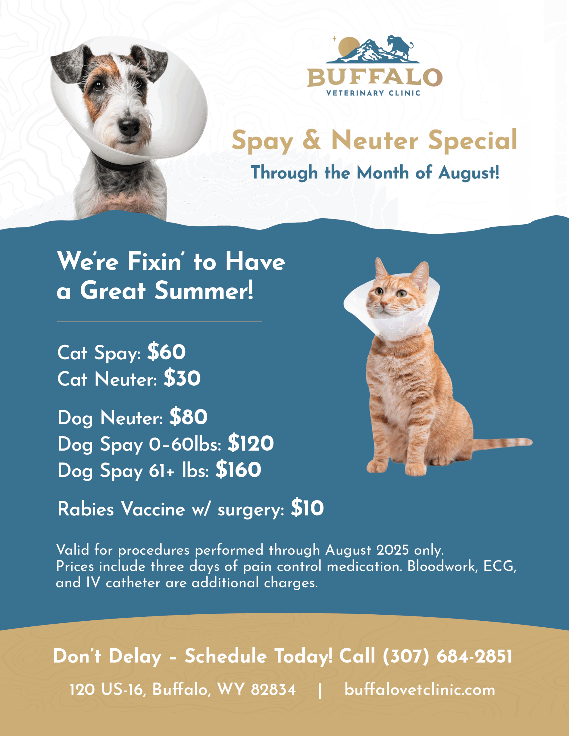 Promotion for Spay and Neuter until end of August 2025